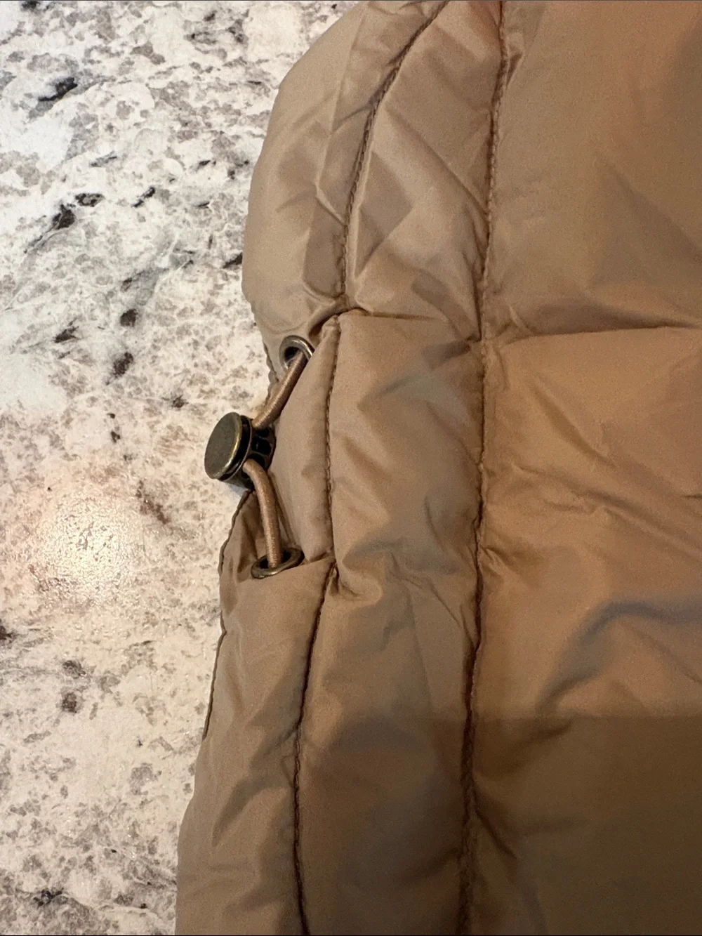 Space lion Dog Vest